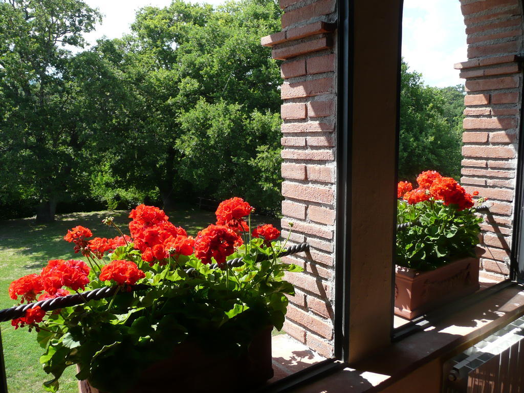Agriturismo Colli Di Travale Montieri Ruang foto